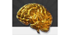 Logo Train Your Brain
